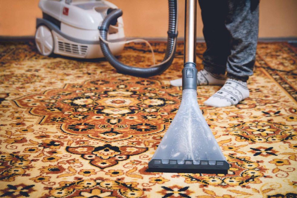 Professional Carpet Cleaner in Greenville, SC area