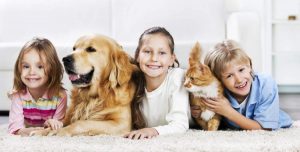 Carpet  Cleaning in Greenville, SC