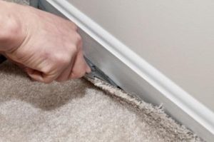 Reliable Carpet Cleaning Greenville, SC