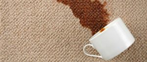 Professional Carpet Cleaning Service in Greenville, SC